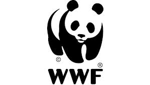 Lettere/WWF Savona ai Comuni: rispettare la legge su tutela e nuovi alberi. 2/Alassio box a 600€ l’anno