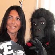 Alassio, un gorilla irrompe in salaInedita presentazione eventi musicali 2017Arriva da Borghetto il nuovo segretario