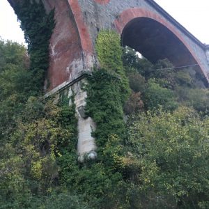Lettera 2/ Savona, ponte ferroviario al Santuario