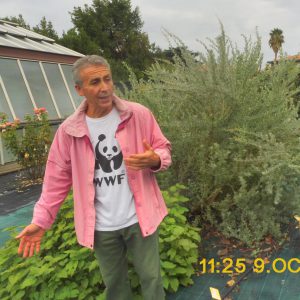 Lettera 3/Auguri amici! Doccia fredda? Forse. Binari e stazioni monte ‘premiano’ il turismo