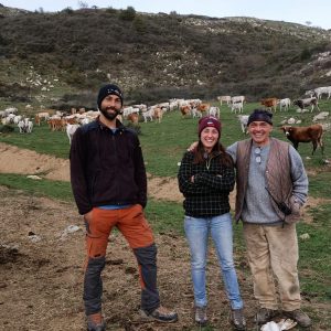 Chiusanico ‘regina dei cavalli’ in Liguria. 170 di razza Bardigiano nell’azienda agricola di Enrico e Francesca. I lupi prima emergenza. 20 puledri sbranati