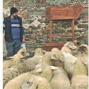 Garessio, l’agriturismo di Paolo Sappa. ‘La ca’ del Duduro’. Mucche, pecore. Si fila la lana. Latte, burro e formaggi. Si cuoce il pane del grano proprio, le castagne diventano farina e dolci