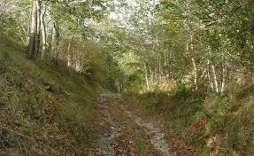 Il “paradiso forestale del Monte Cerchio”. La provincia avrà il distretto eolico più denso d’Italia e senza pianificazione. Ma Windtek replica: nuova risorsa di attrazione turistica di aree limitrofe
