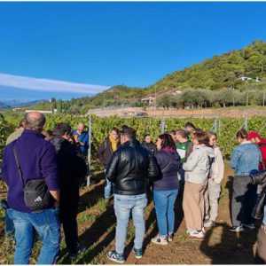 Albenga-Ortovero: vitivinicoltura e 40 anni di istruzione agraria. Nel 2023 grazie ai vini liguri di pregio (8 DOP e 4 IGP) un business da 12 milioni